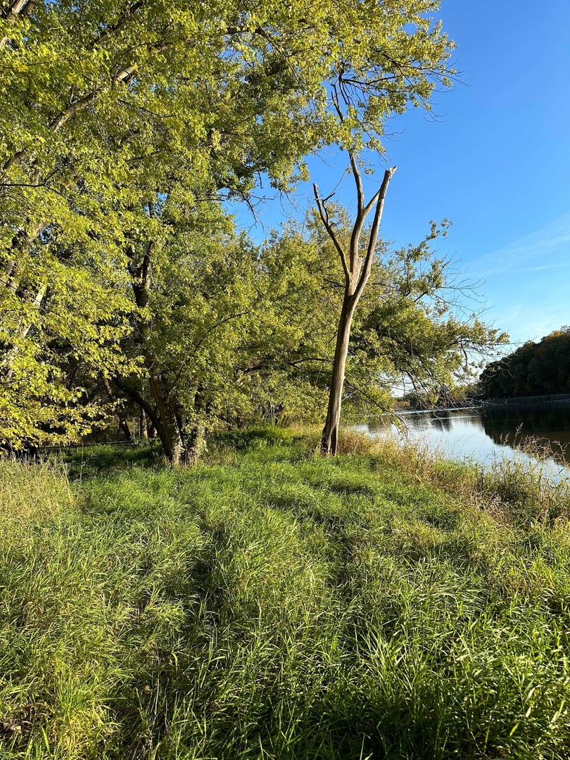 0 River (52.0 Acres) Road Oregon, IL 61061 - Photo 5 of 19 Gallery Image 5