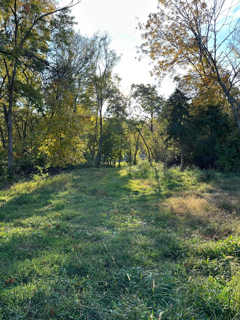 0 River (52.0 Acres) Road Oregon, IL 61061 - Photo 6 of 19 Gallery Image 6