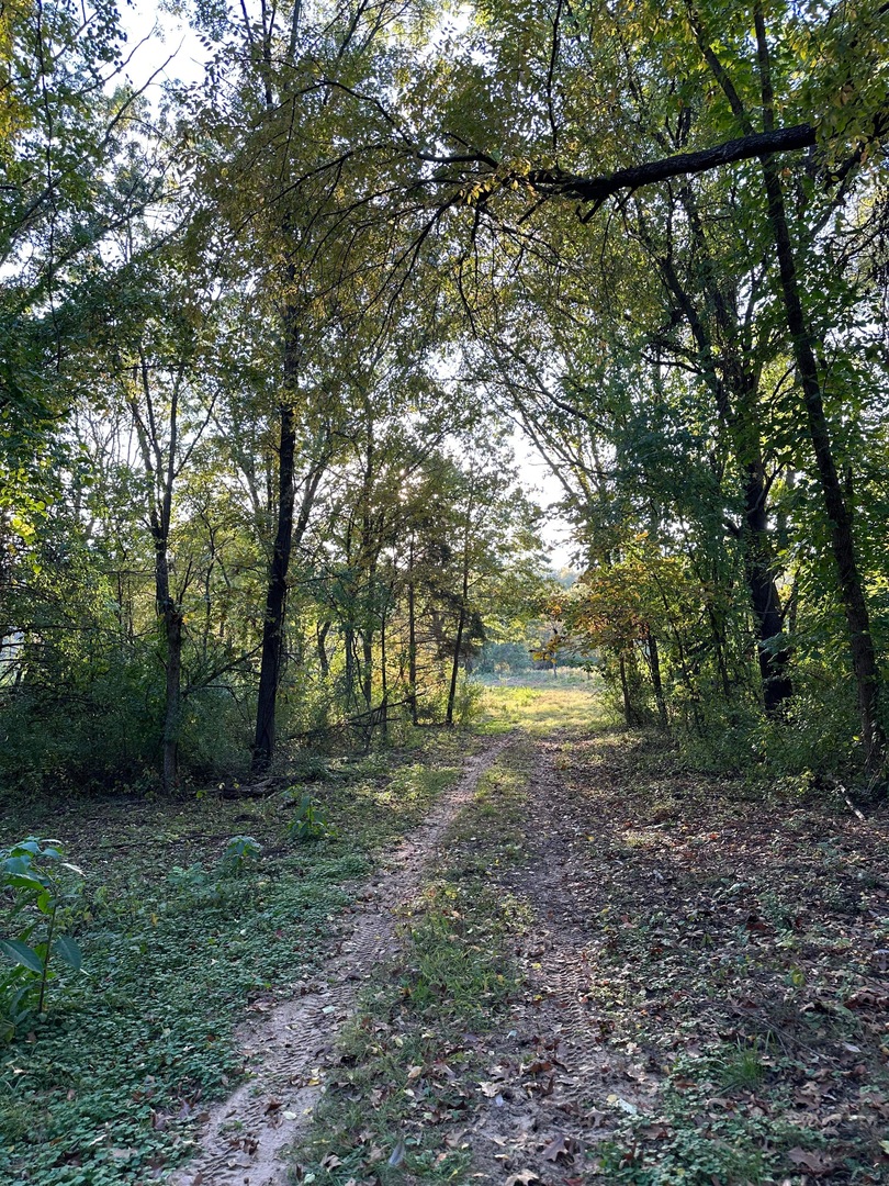 0 River (52.0 Acres) Road Oregon, IL 61061 - Photo 8 of 19 Gallery Image 8