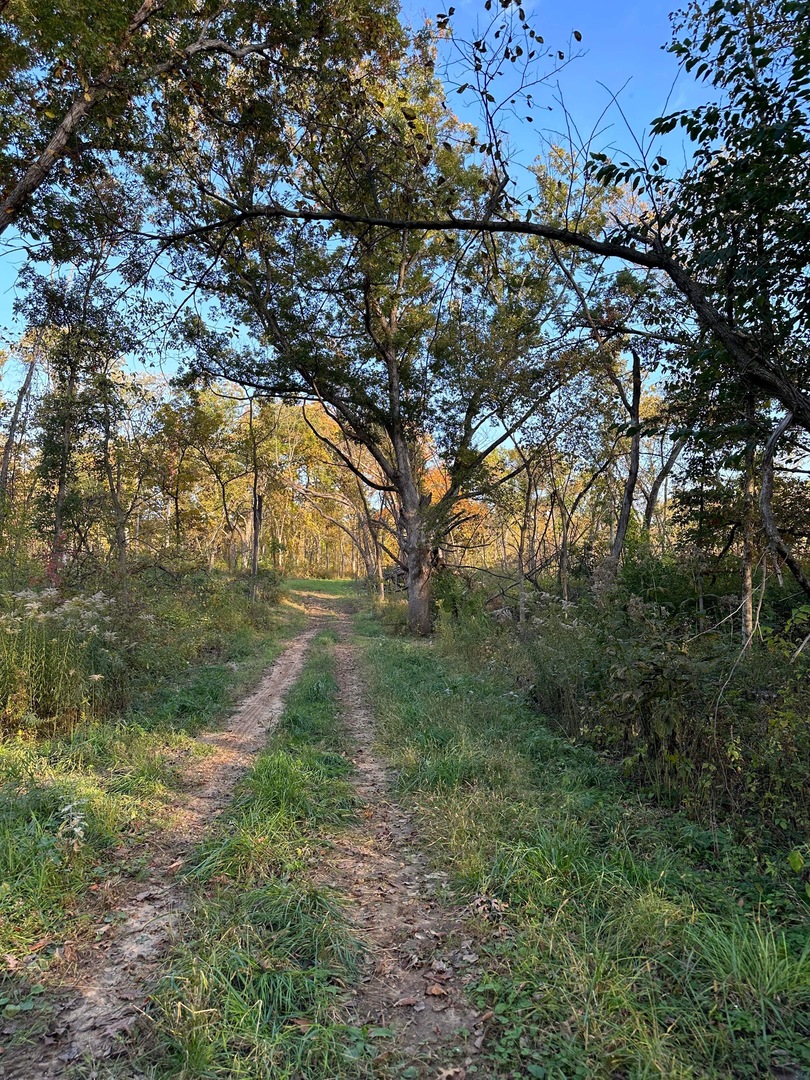 0 River (52.0 Acres) Road Oregon, IL 61061 - Photo 10 of 19 Gallery Image 10