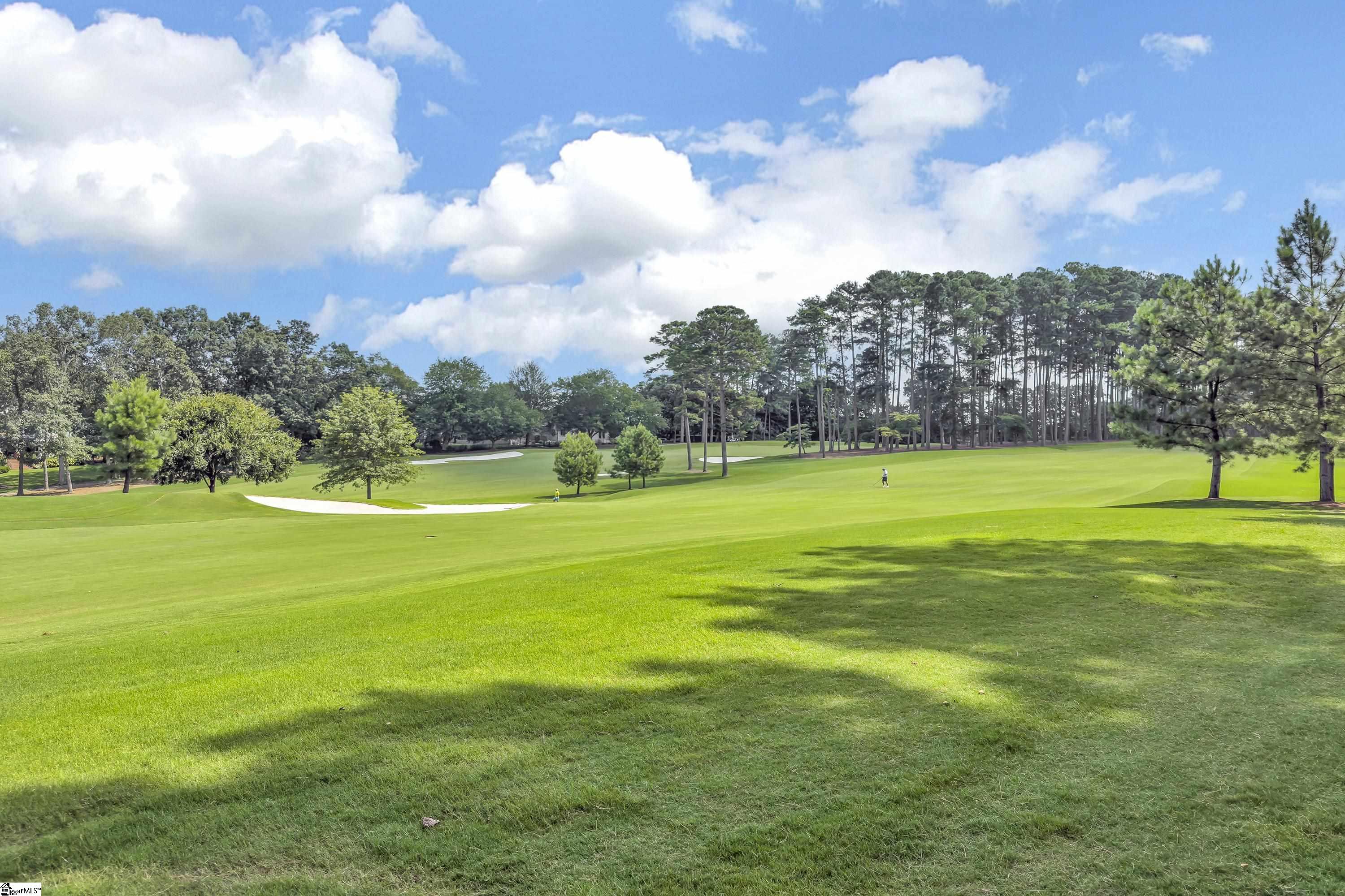 210 Castellan Drive Greer, SC 29650 - Photo 37 of 43