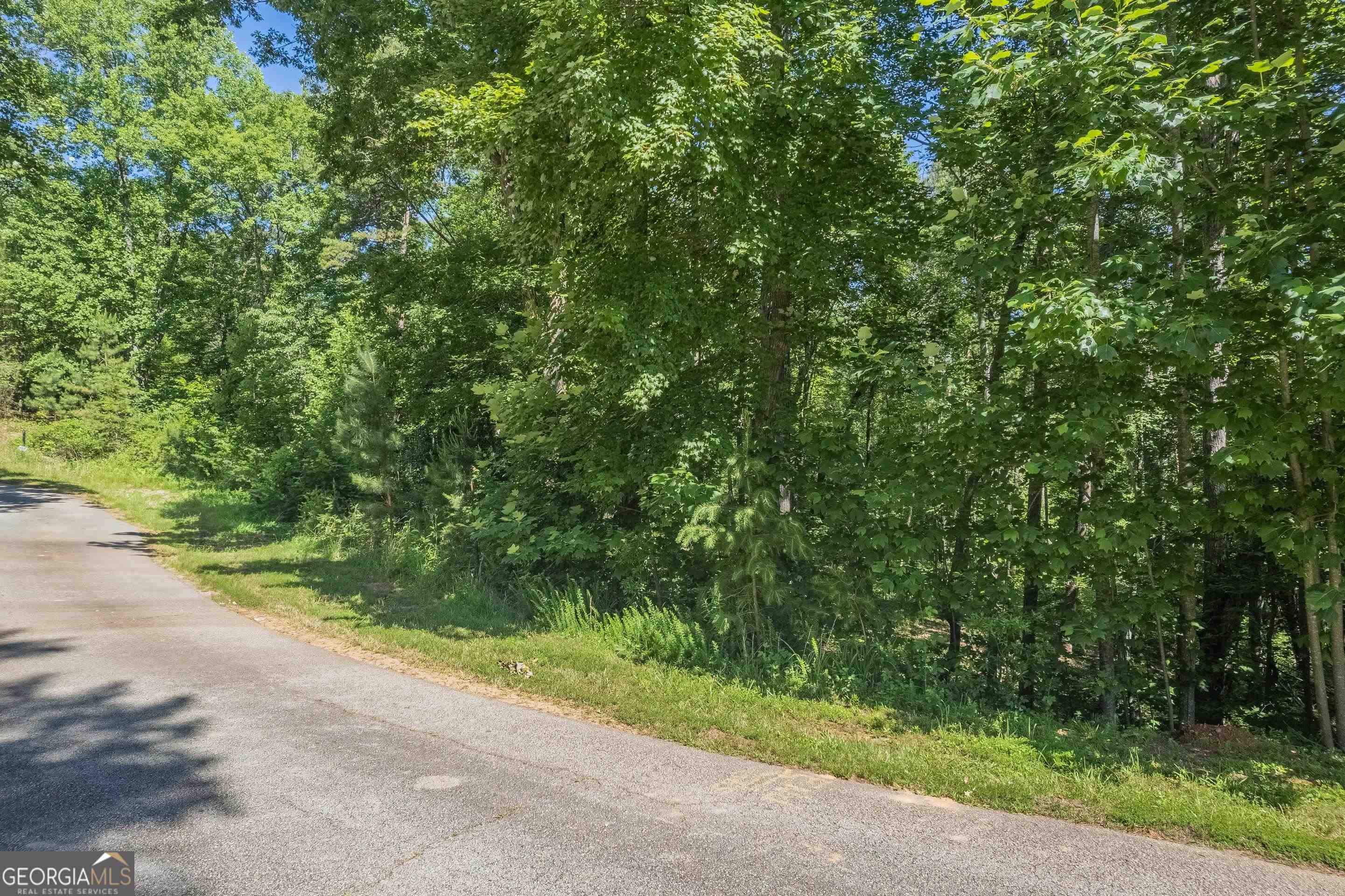 13-35 Edgewater Trail, Unit 2 35 ACRES) Toccoa, GA 30577 - Photo 12 of 45