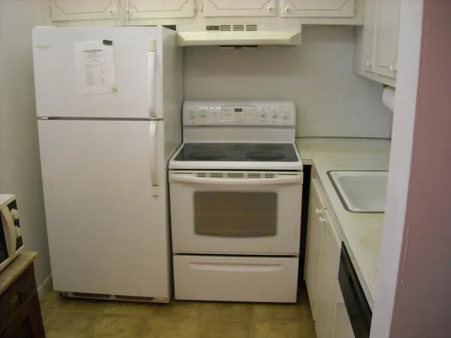 a view of a room with a plant and a window
