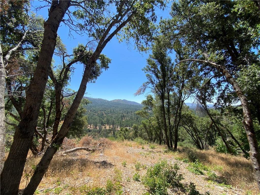 34449 Road 274 North Fork, CA 93643 - Photo 11 of 41 a view of a yard with a tree
