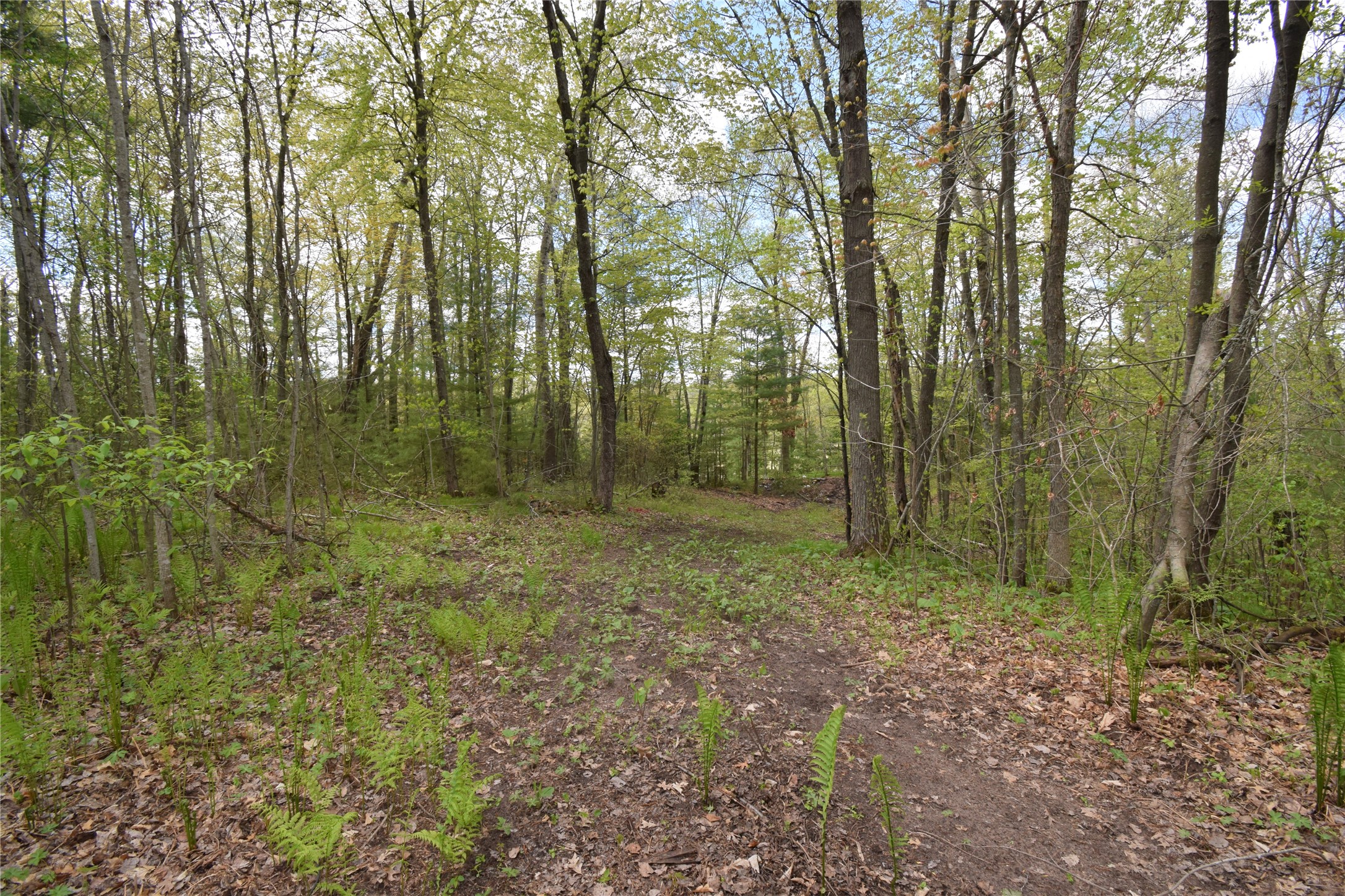 25383 Mansfield Road Webster, WI 54893 - Photo 6 of 36
