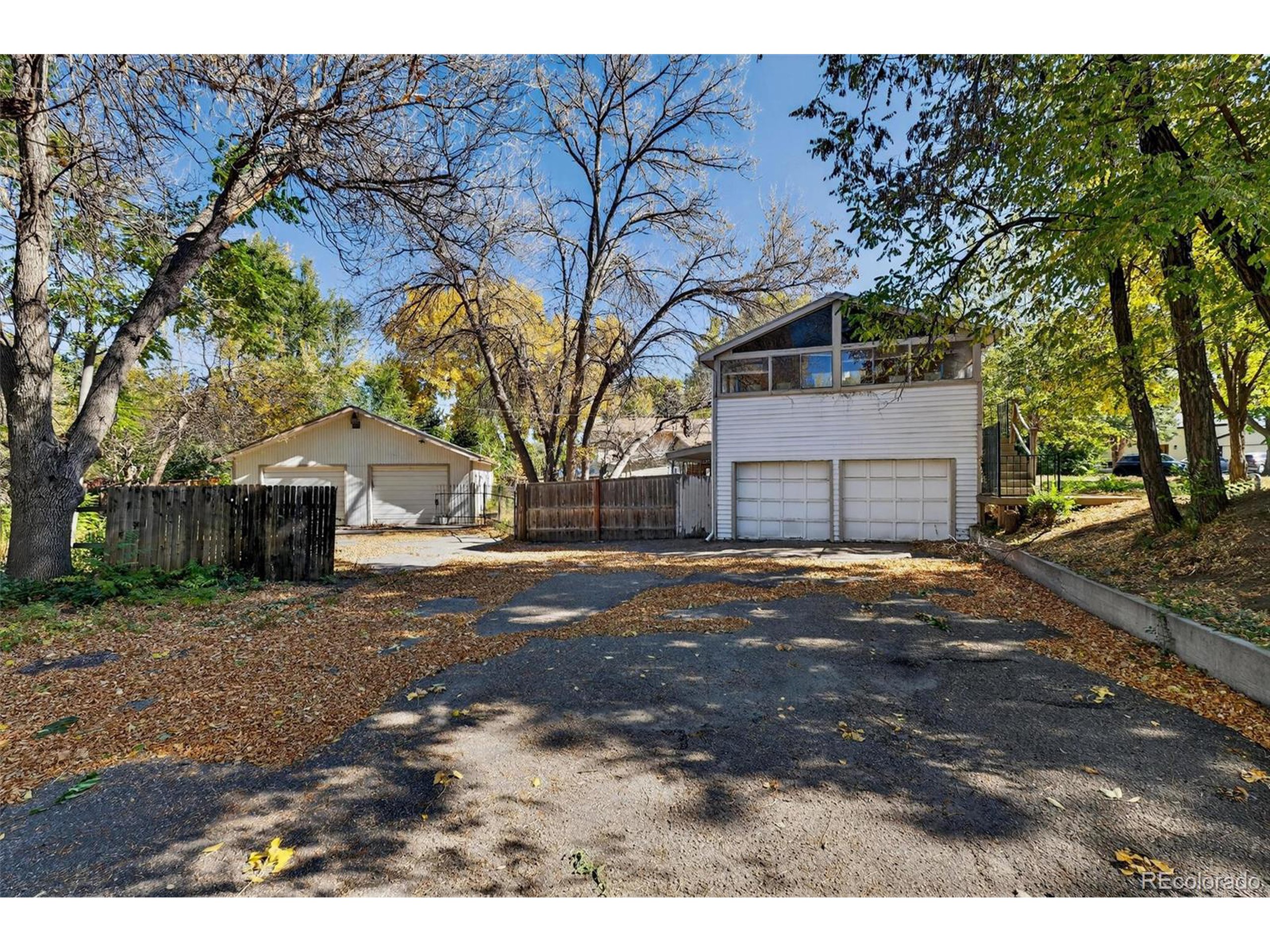 6795 West 31st Avenue Wheat Ridge, CO 80214 - Photo 21 of 35 a view of a yard with a large tree