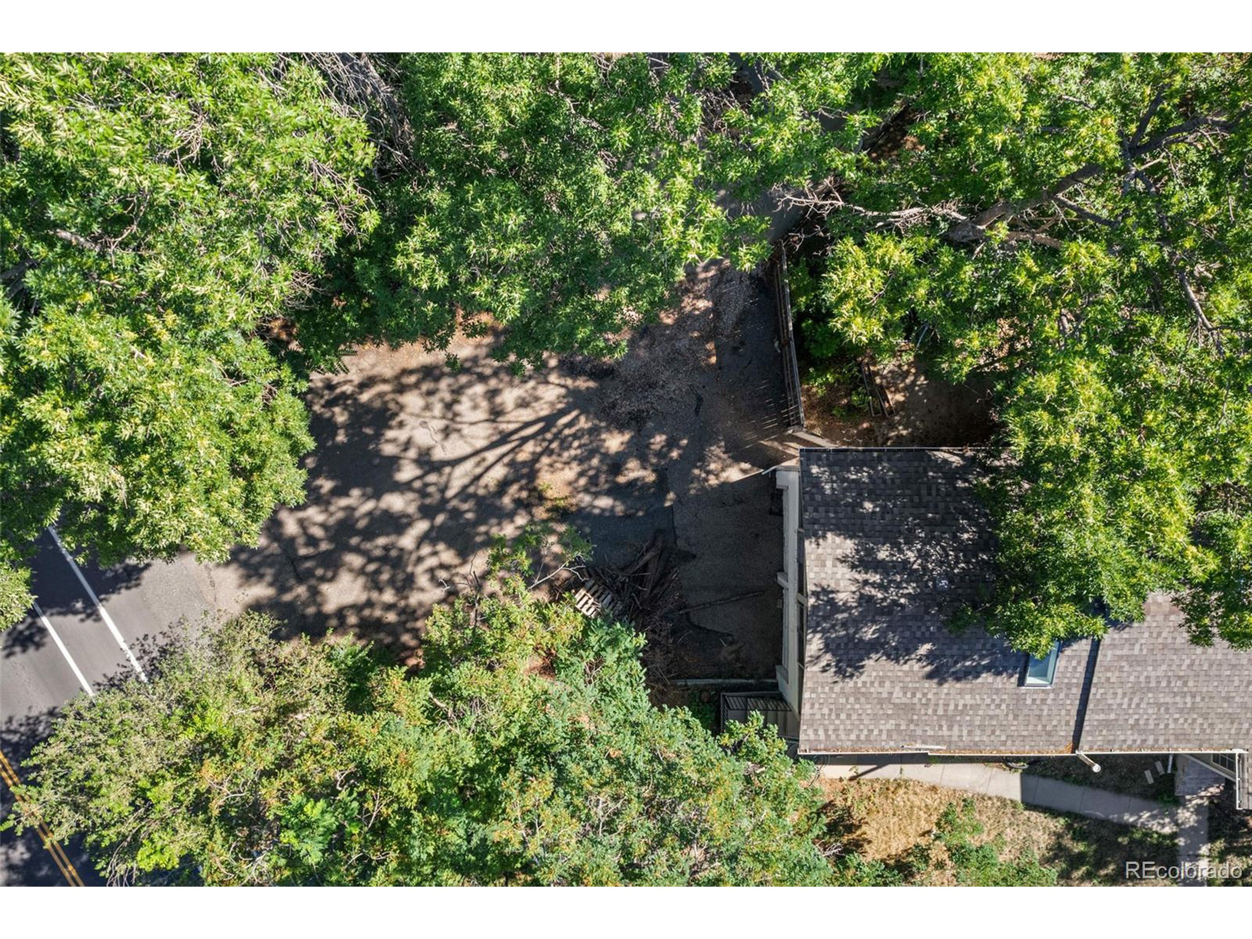 6795 West 31st Avenue Wheat Ridge, CO 80214 - Photo 34 of 35 a view of a yard with plants