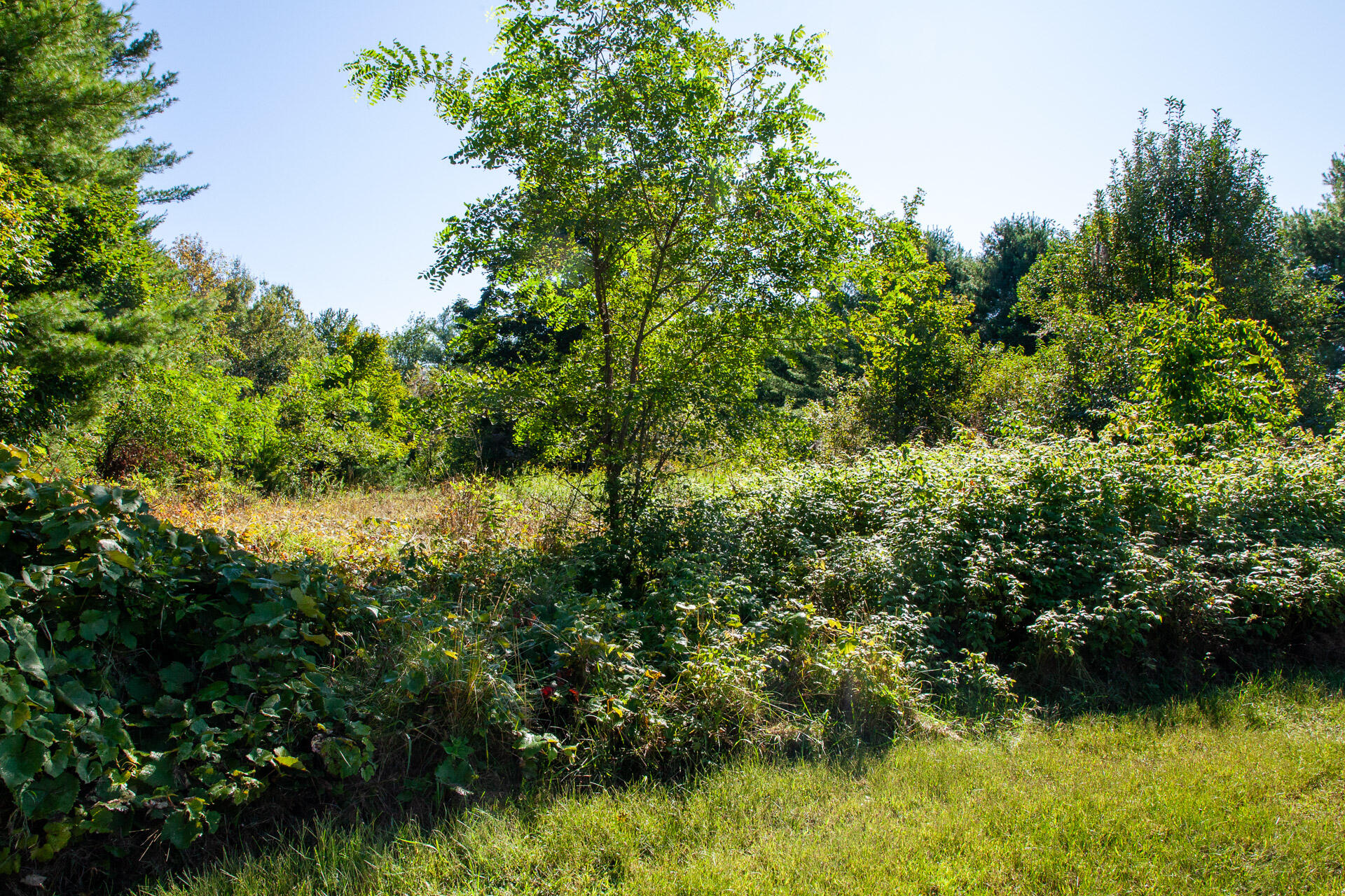 20 Butter Hill Road Livermore, ME 04253 - Photo 60 of 65 IMG_0044
