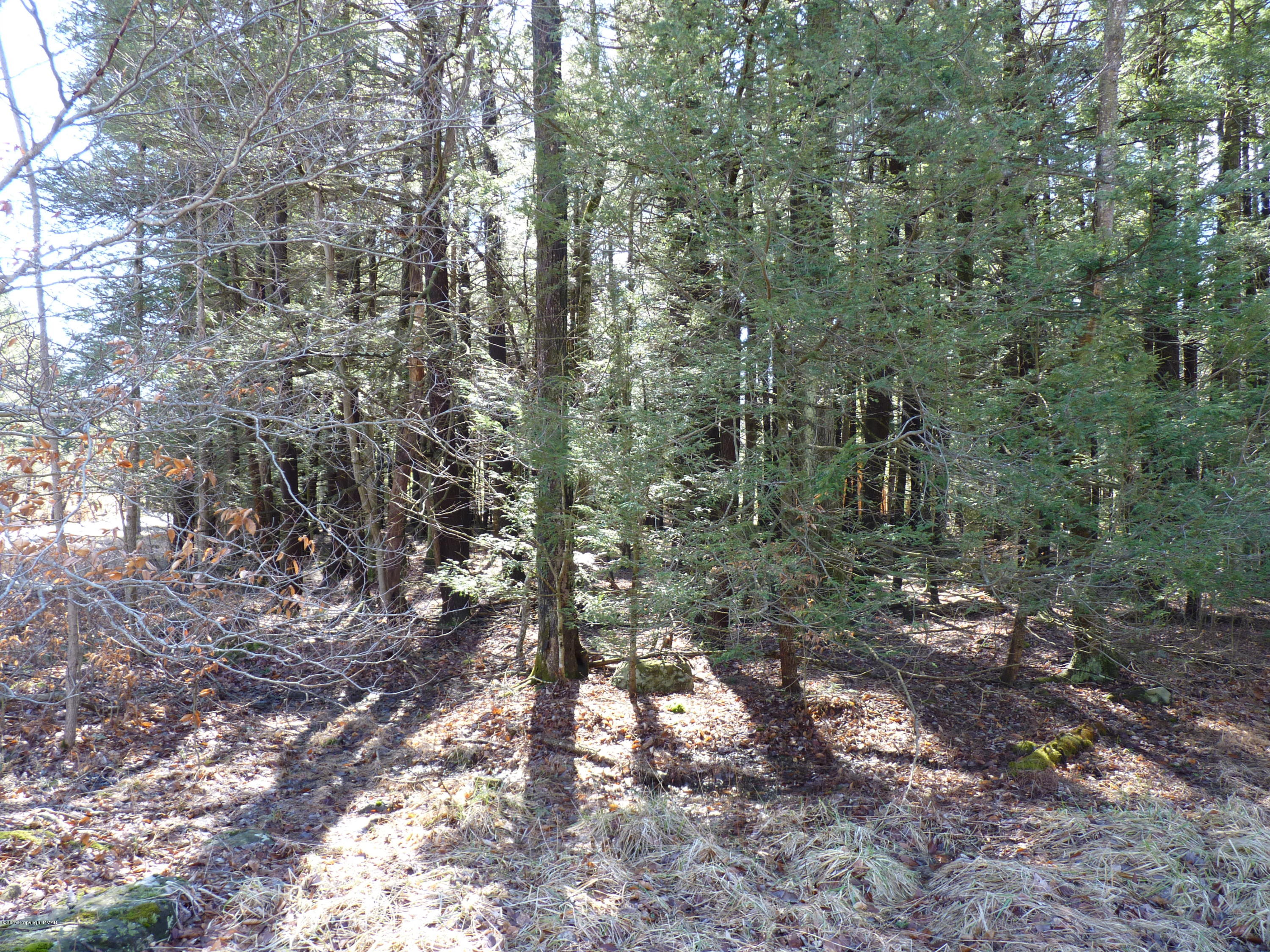 Lot 167 King Arthur Road Blakeslee, PA 18610 - Photo 1 of 2 P1100175
