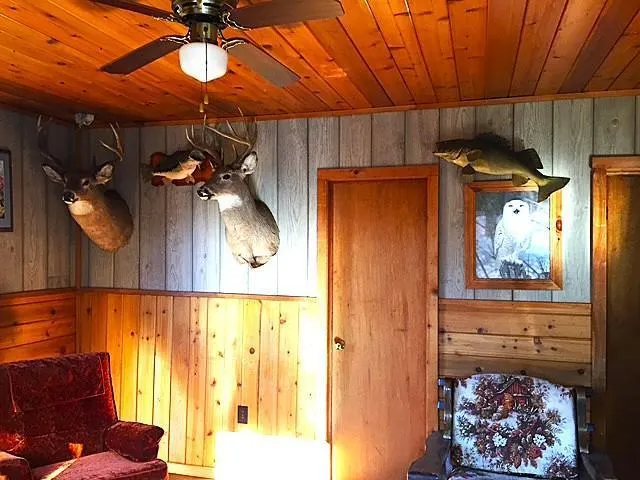 $399,000 | 1915 Lynx Island, International Falls, MN 56649