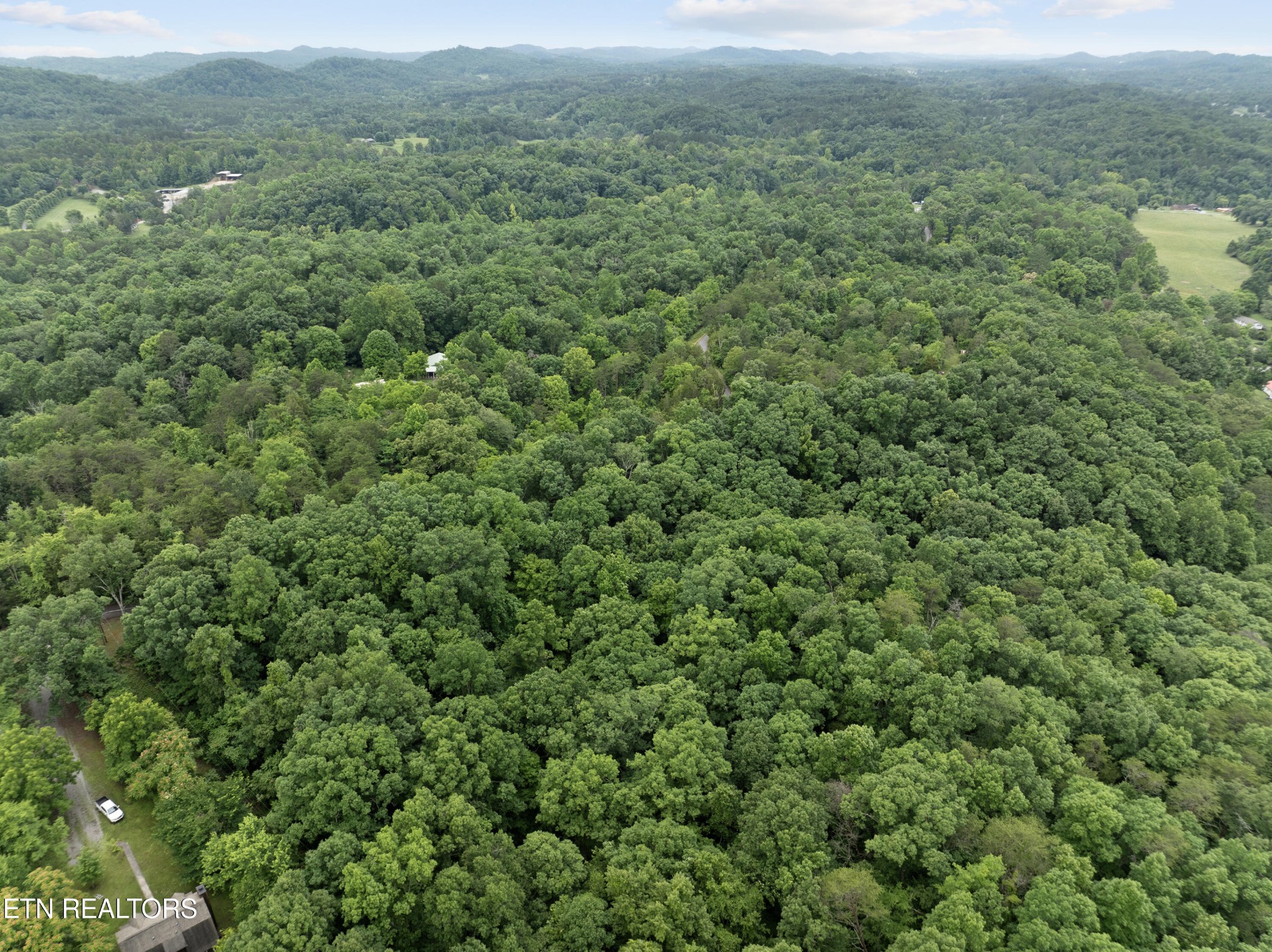 1509 Lundy Road Knoxville, TN 37920 - Photo 15 of 36 Gallery Image 15