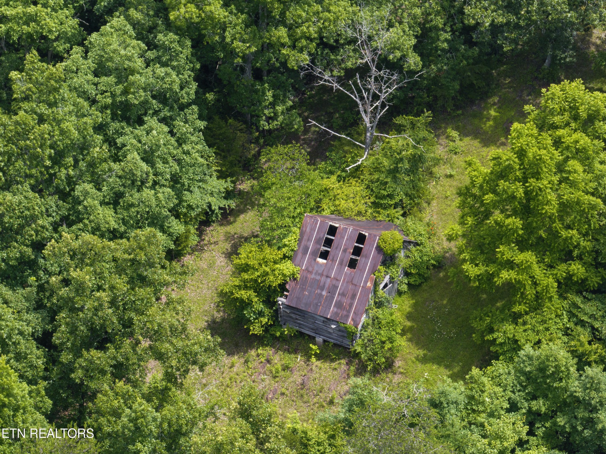 1509 Lundy Road Knoxville, TN 37920 - Photo 18 of 36 Gallery Image 18
