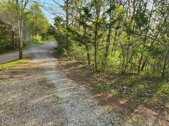 1509 Lundy Road Knoxville, TN 37920 - Photo 20 of 36 Gallery Image 20