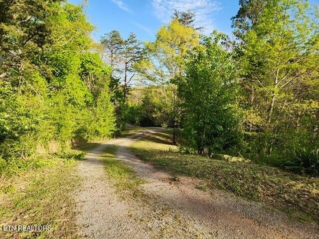 1509 Lundy Road Knoxville, TN 37920 - Photo 21 of 36 Gallery Image 21