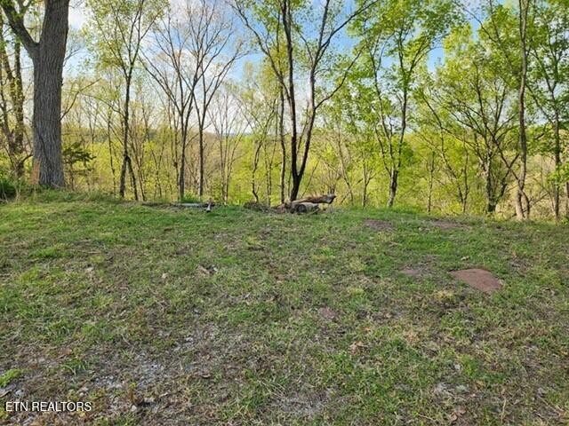1509 Lundy Road Knoxville, TN 37920 - Photo 24 of 36 Gallery Image 24