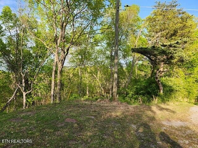 1509 Lundy Road Knoxville, TN 37920 - Photo 29 of 36 Gallery Image 29