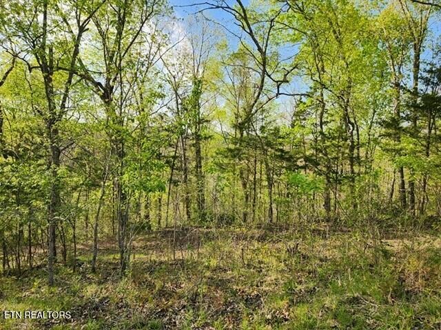 1509 Lundy Road Knoxville, TN 37920 - Photo 30 of 36 Gallery Image 30