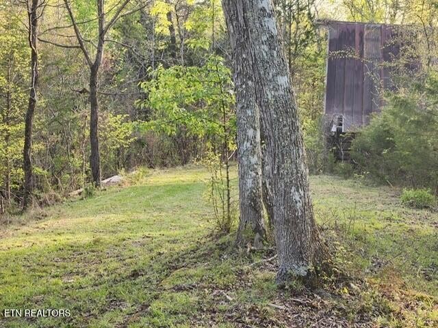 1509 Lundy Road Knoxville, TN 37920 - Photo 31 of 36 Gallery Image 31