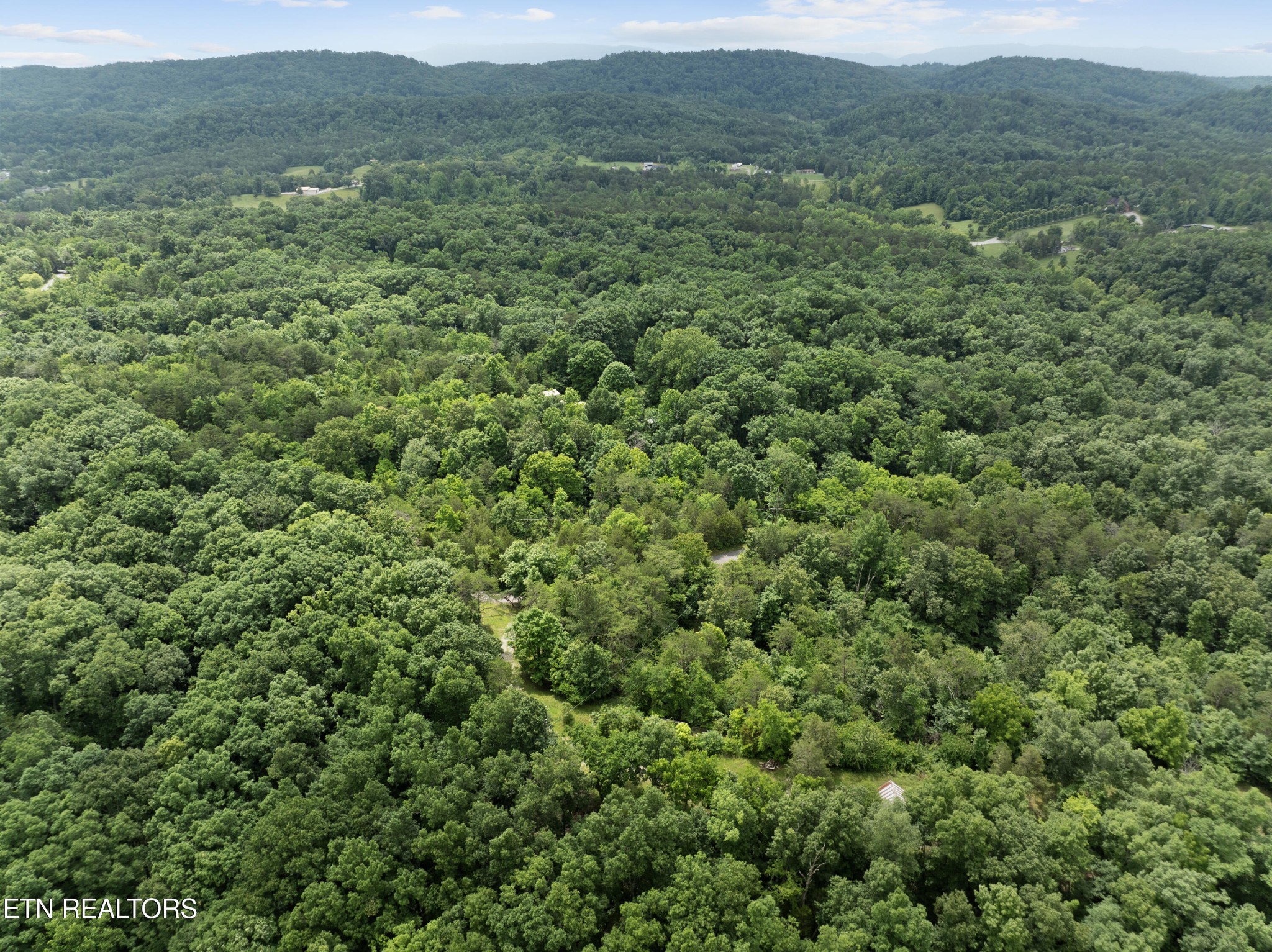 1509 Lundy Road Knoxville, TN 37920 - Photo 7 of 36 Gallery Image 7