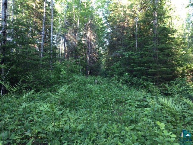 1142 Camp 20 Road Grand Marais, MN 55604 - Photo 8 of 17