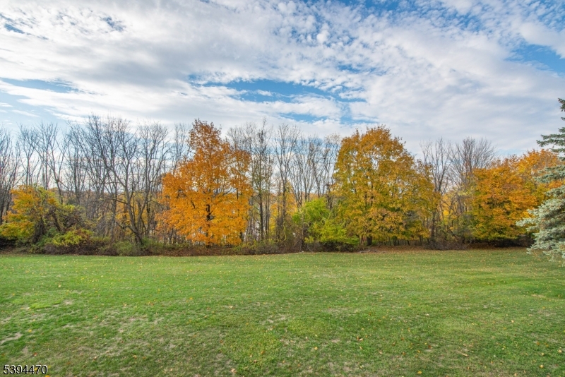 8 Constitution Way Franklin, NJ 07416 - Photo 26 of 26 a view of yard