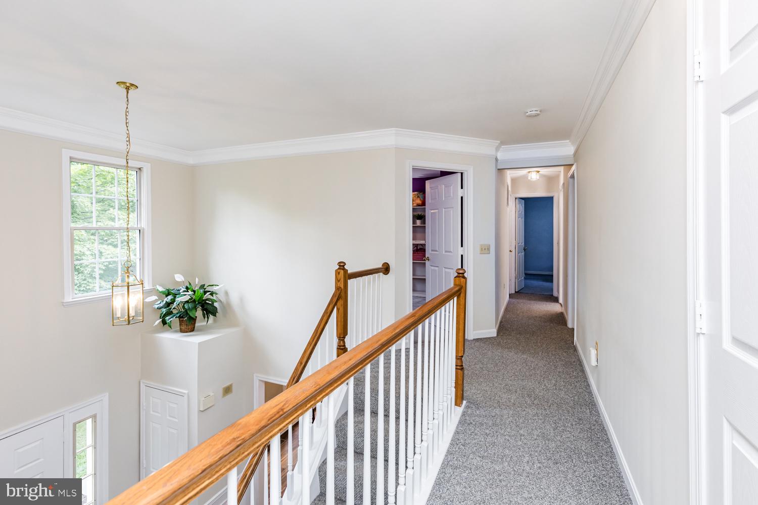 8517 Ellicott View Road Ellicott City, MD 21043 - Photo 50 of 78 Gallery Image 50