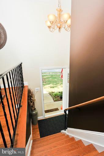 6917 Gillings Road Springfield, VA 22152 - Photo 12 of 24 Interior (General)