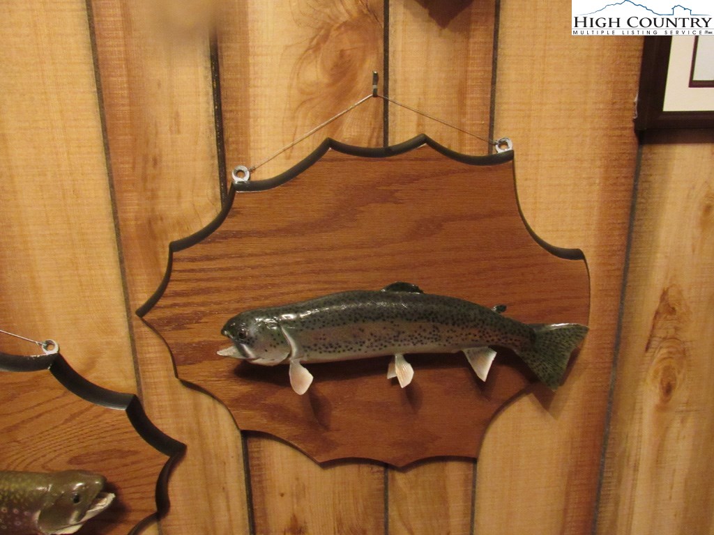423 Big Laurel Road Creston, NC 28615 - Photo 29 of 49 Gallery Image 29