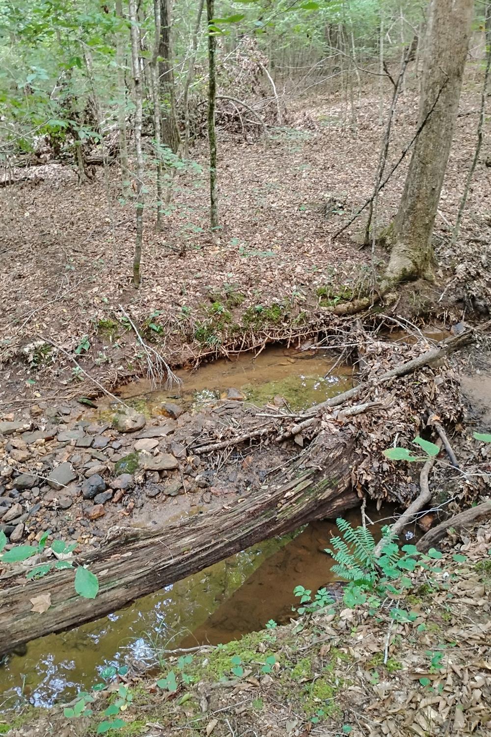 0 550 Mitchell Road Lynchburg, VA 24504 - Photo 11 of 36