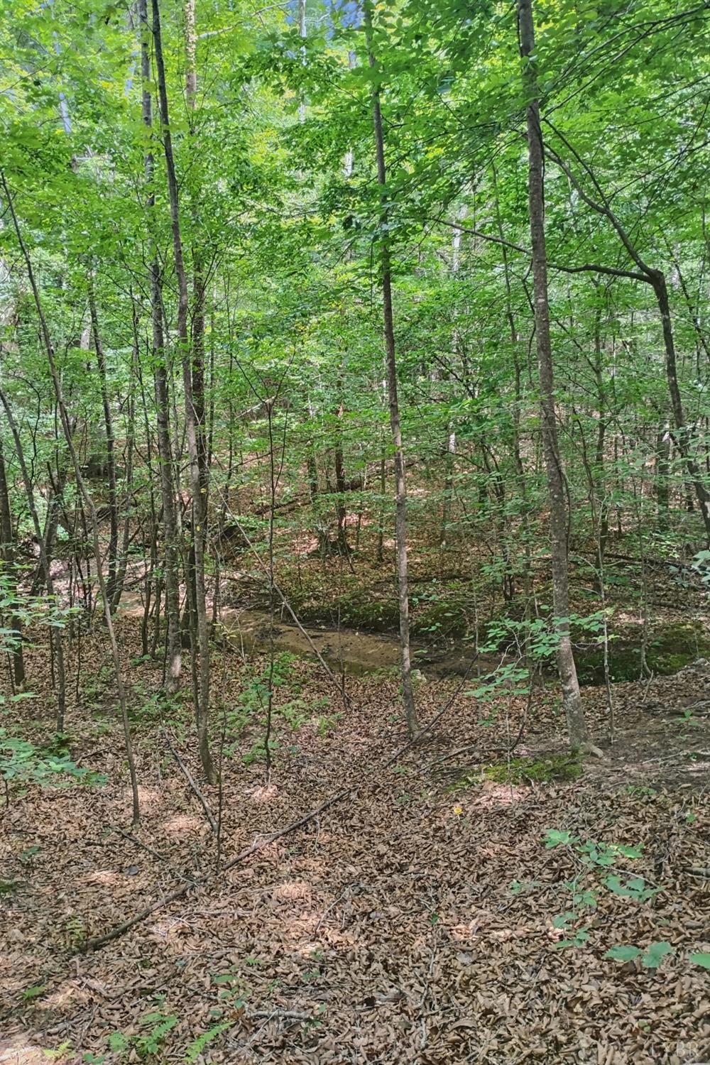 0 550 Mitchell Road Lynchburg, VA 24504 - Photo 12 of 36