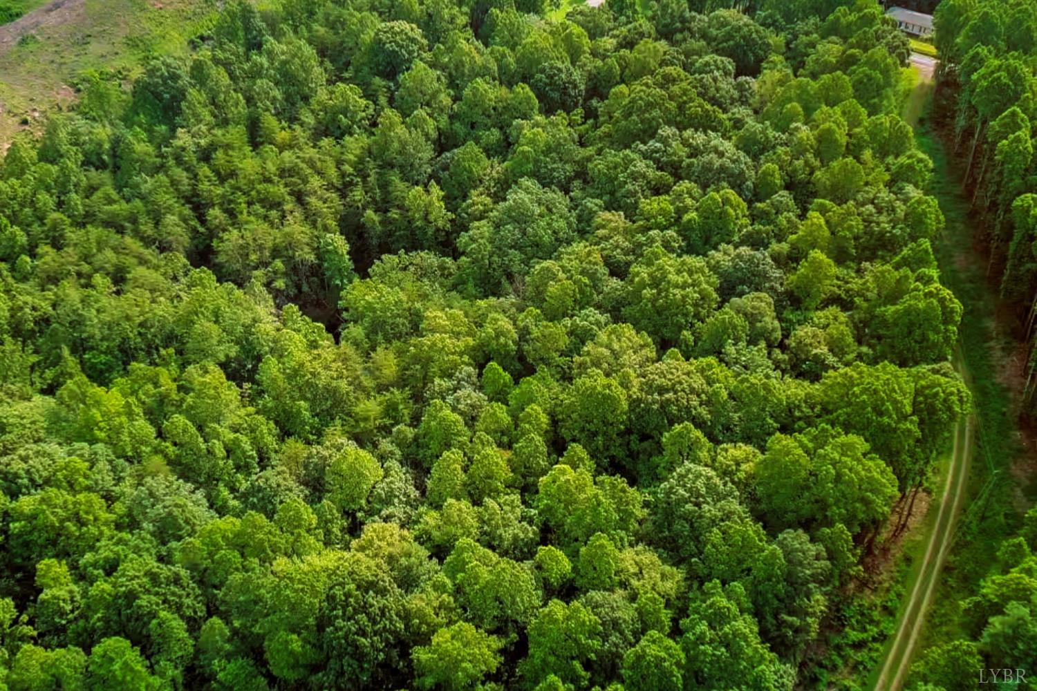 0 550 Mitchell Road Lynchburg, VA 24504 - Photo 2 of 36