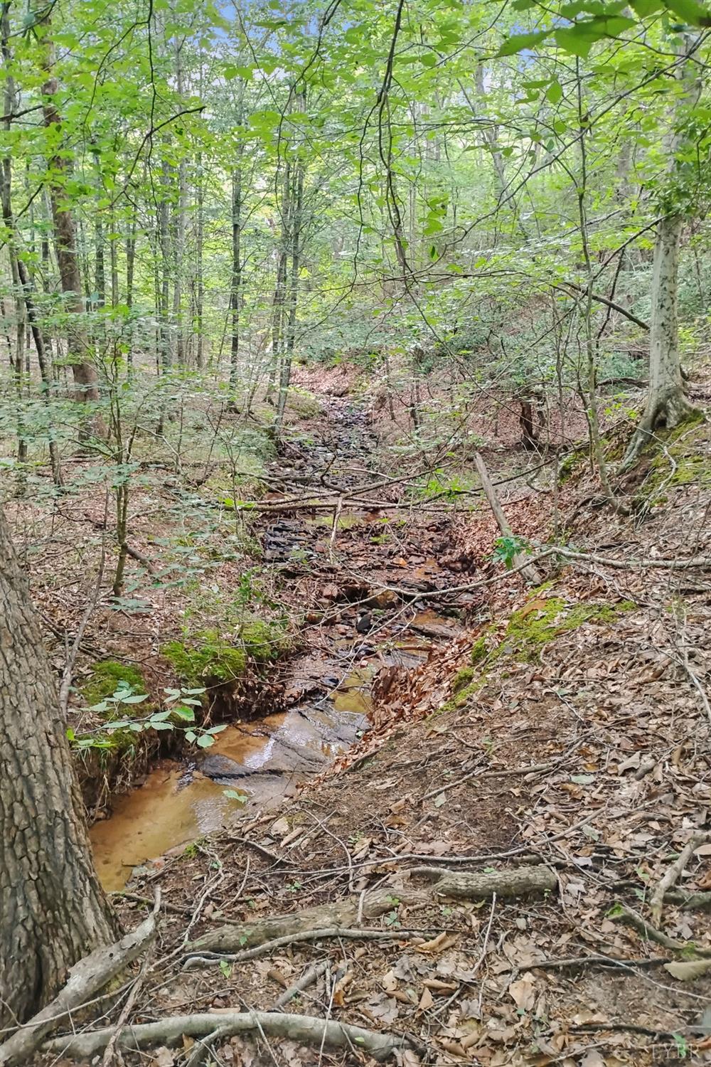 0 550 Mitchell Road Lynchburg, VA 24504 - Photo 7 of 36