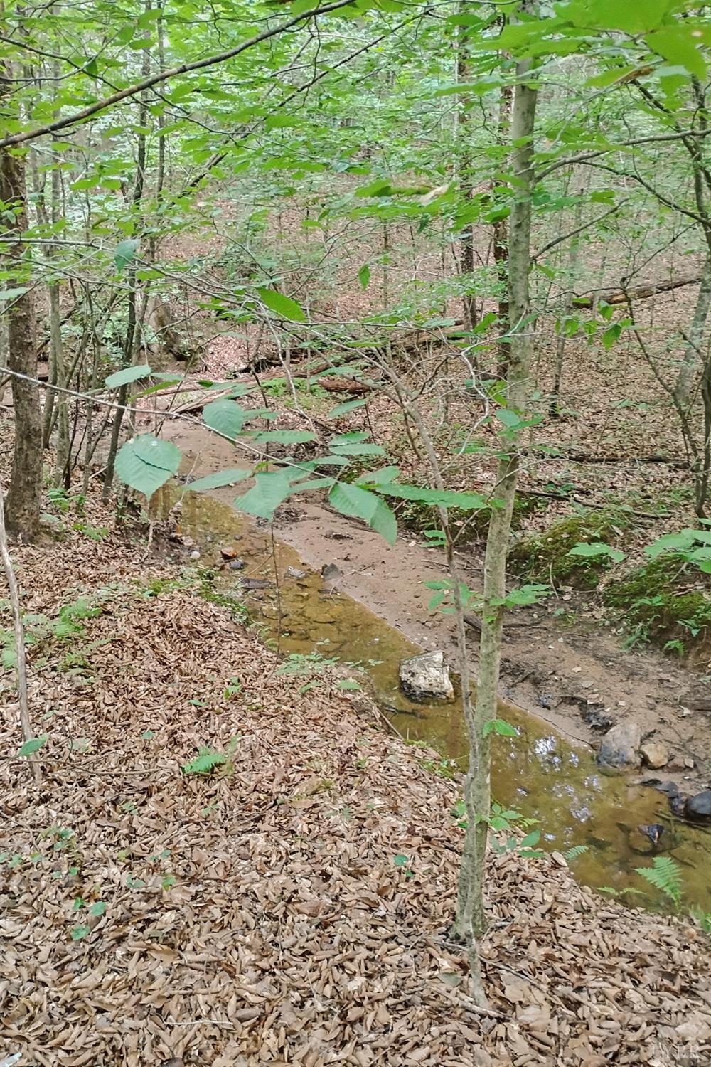 0 550 Mitchell Road Lynchburg, VA 24504 - Photo 9 of 36