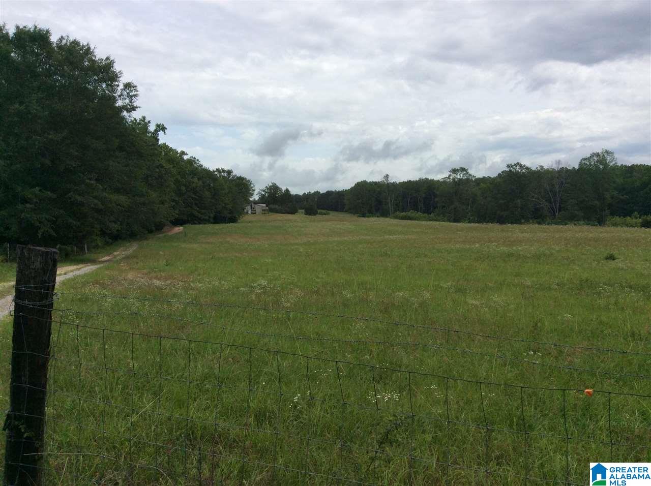 1395 County Road 152 Jemison, AL 35085 - Photo 23 of 26