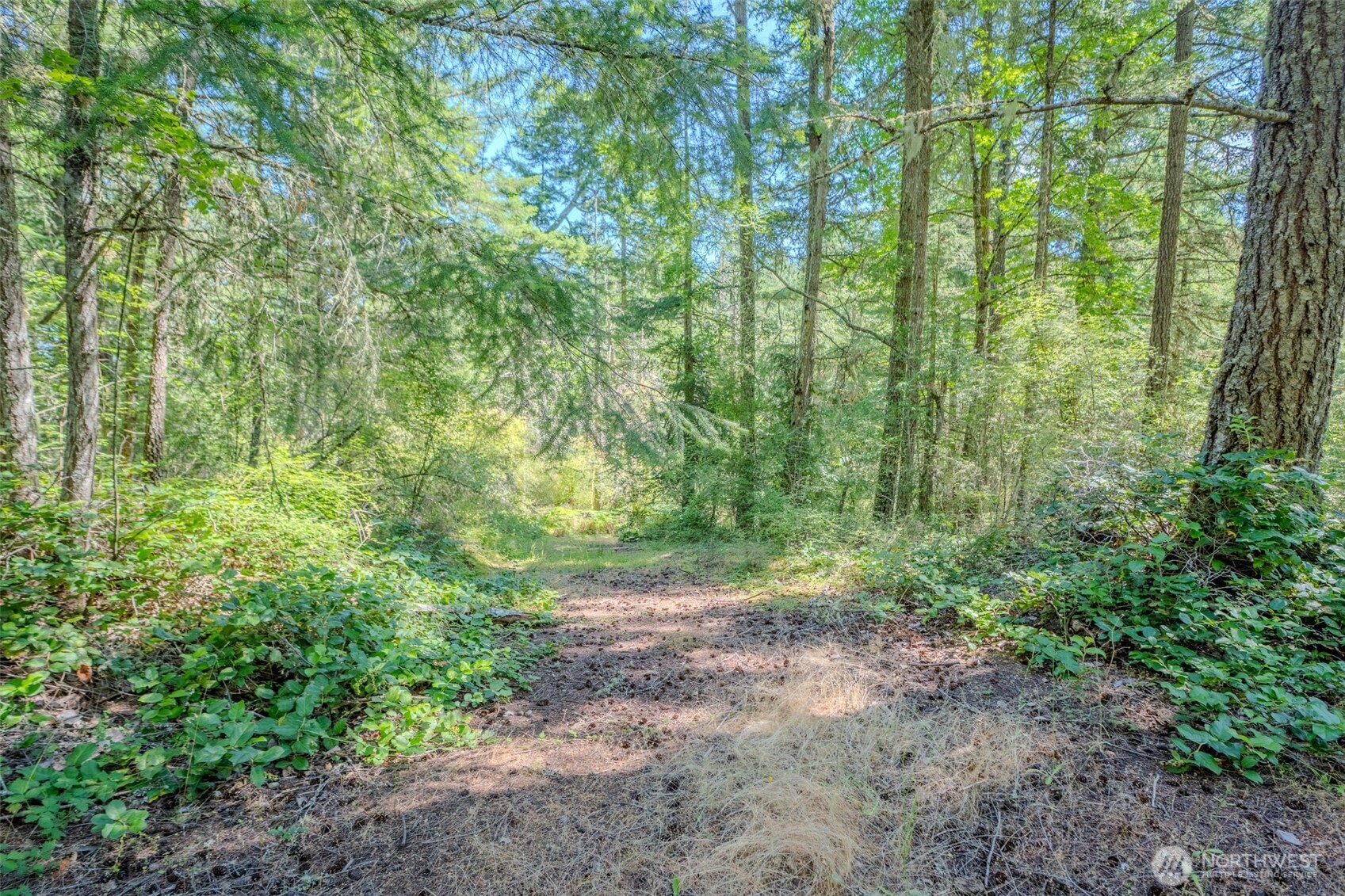 678 Swan Road Orcas Island, WA 98245 - Photo 9 of 39