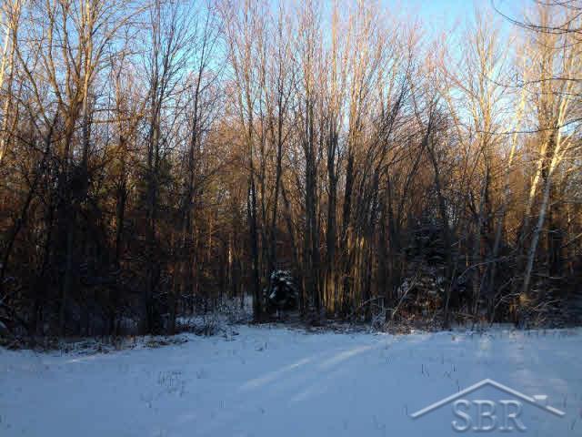 10525 East Birch Run Road Birch Run, MI 48415 - Photo 5 of 16 20185659-4.JPG