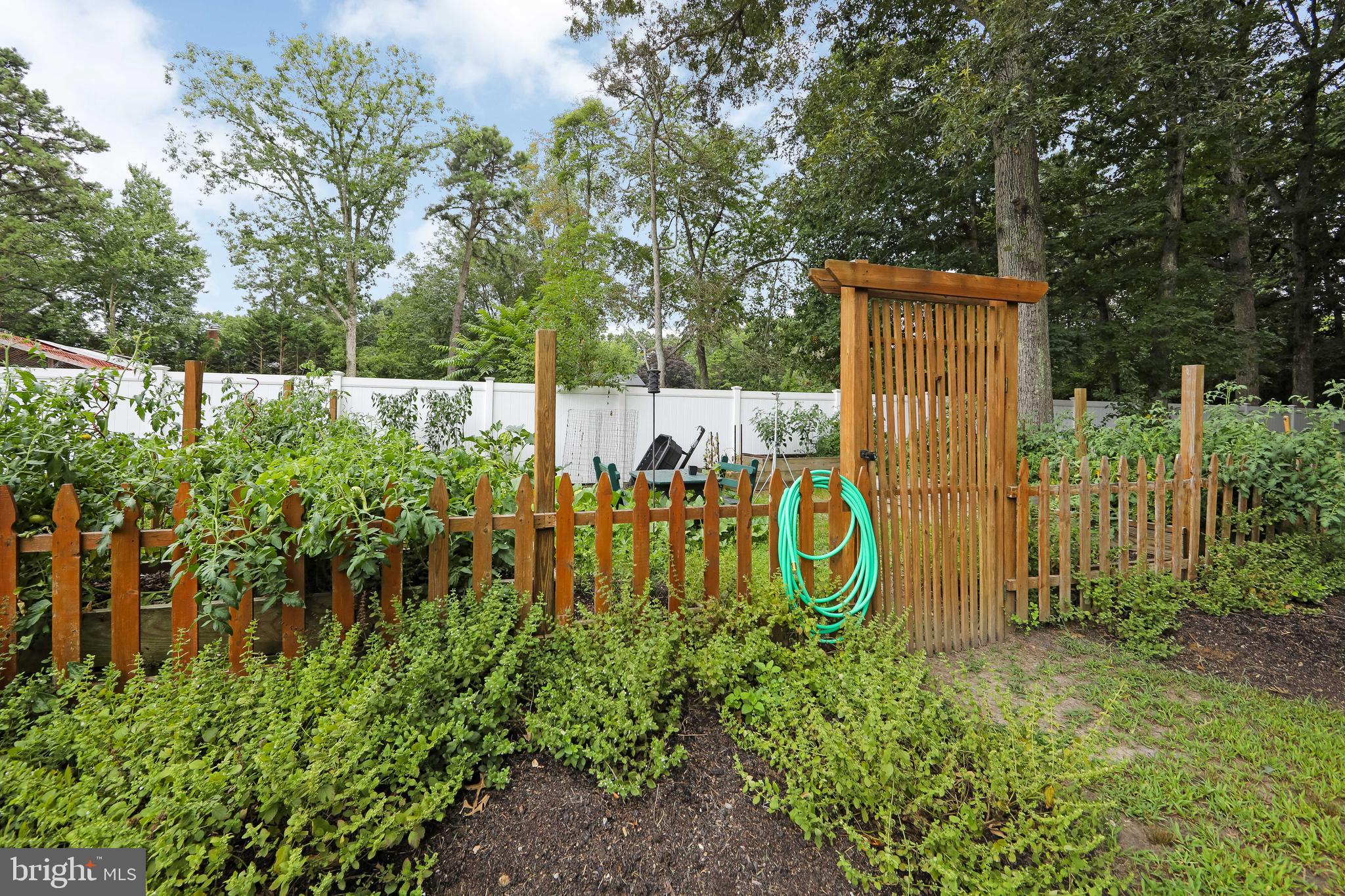 2883 Williamstown Road Franklinville, NJ 08322 - Photo 31 of 38