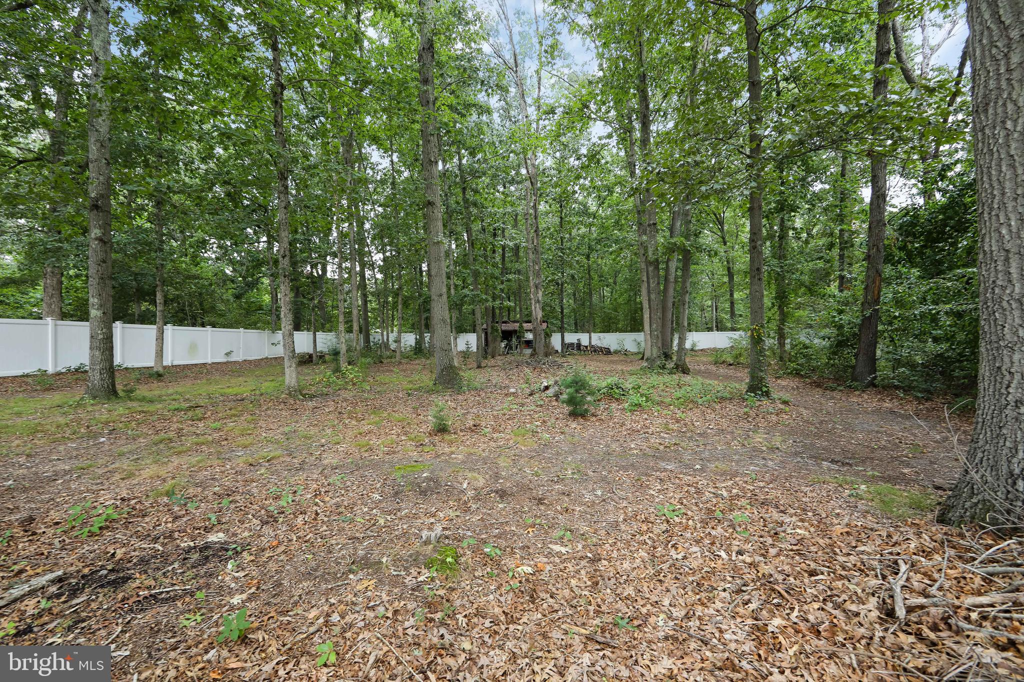 2883 Williamstown Road Franklinville, NJ 08322 - Photo 32 of 38