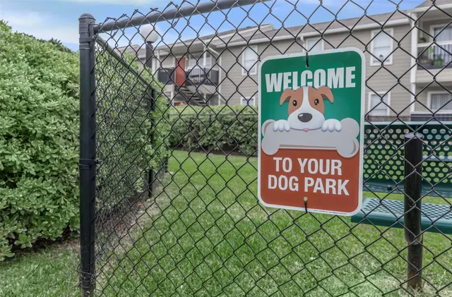 a garden with trees in front of it
