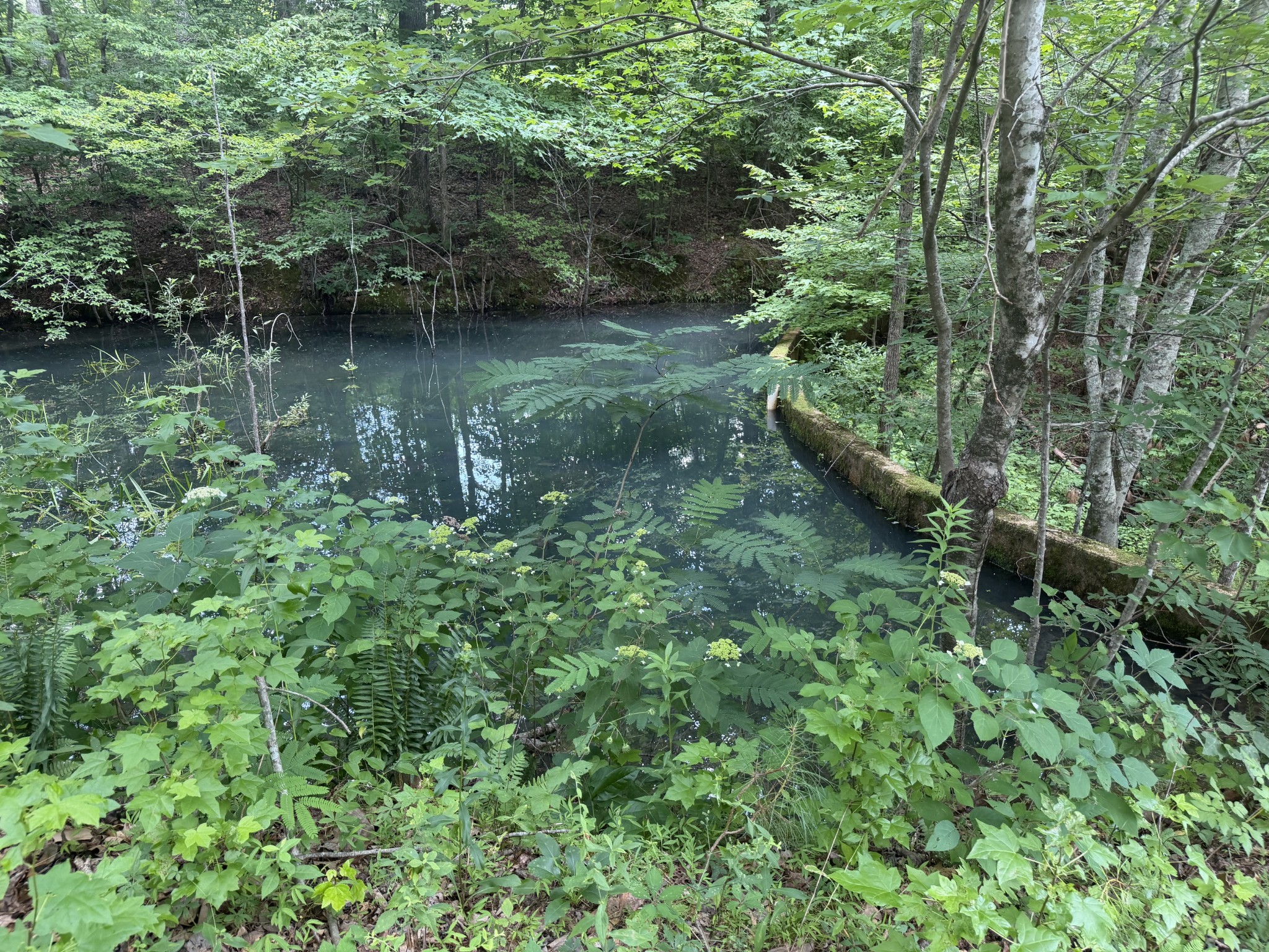 232 Cane Creek Road Hohenwald, TN 38462 - Photo 86 of 91