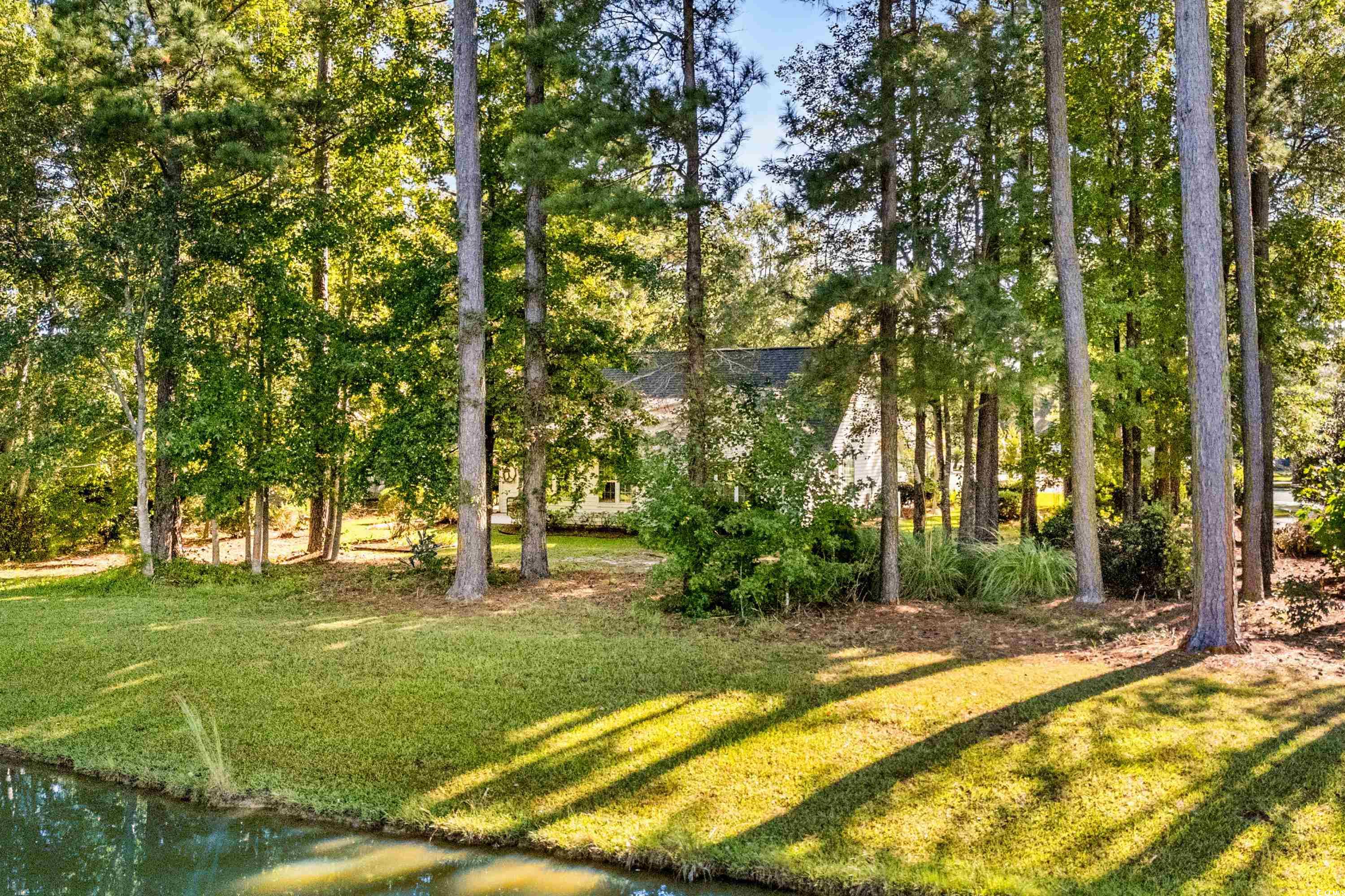 351 Shellbank Drive Longs, SC 29568 - Photo 4 of 40 Gallery Image 4