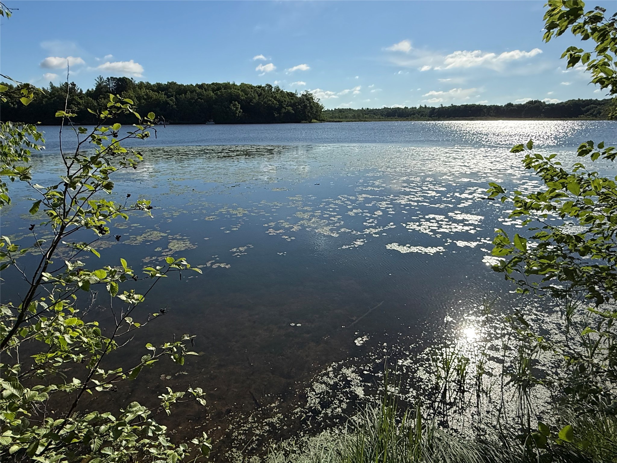 Xxx Sathre Lane Shell Lake, WI 54871 - Photo 3 of 36