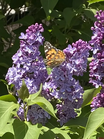 $375,000 | 1702 East MacArthur Avenue, Cortez, CO 81321