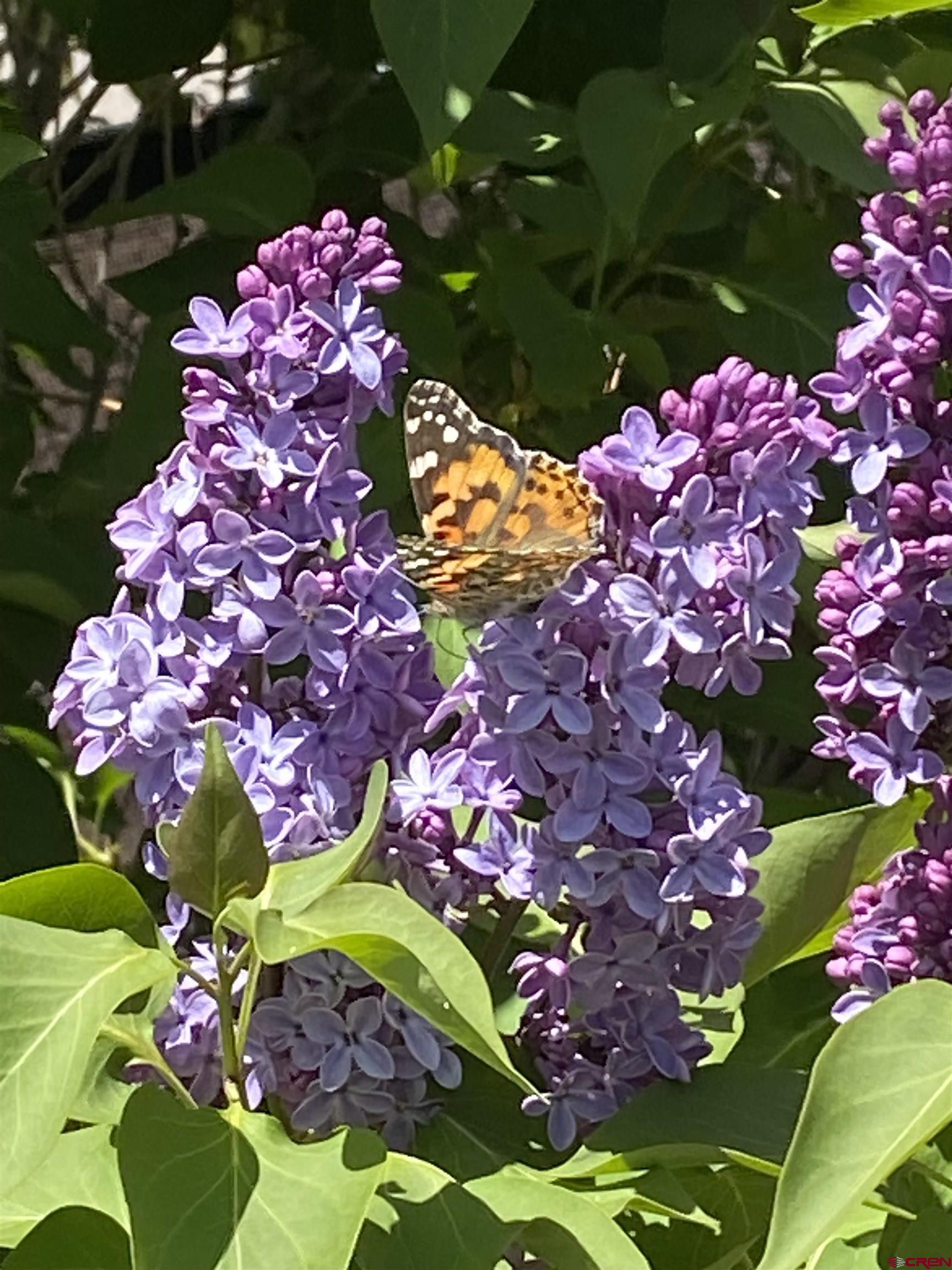 1702 East MacArthur Avenue Cortez, CO 81321 - Photo 37 of 42