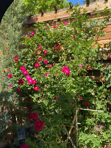 $375,000 | 1702 East MacArthur Avenue, Cortez, CO 81321