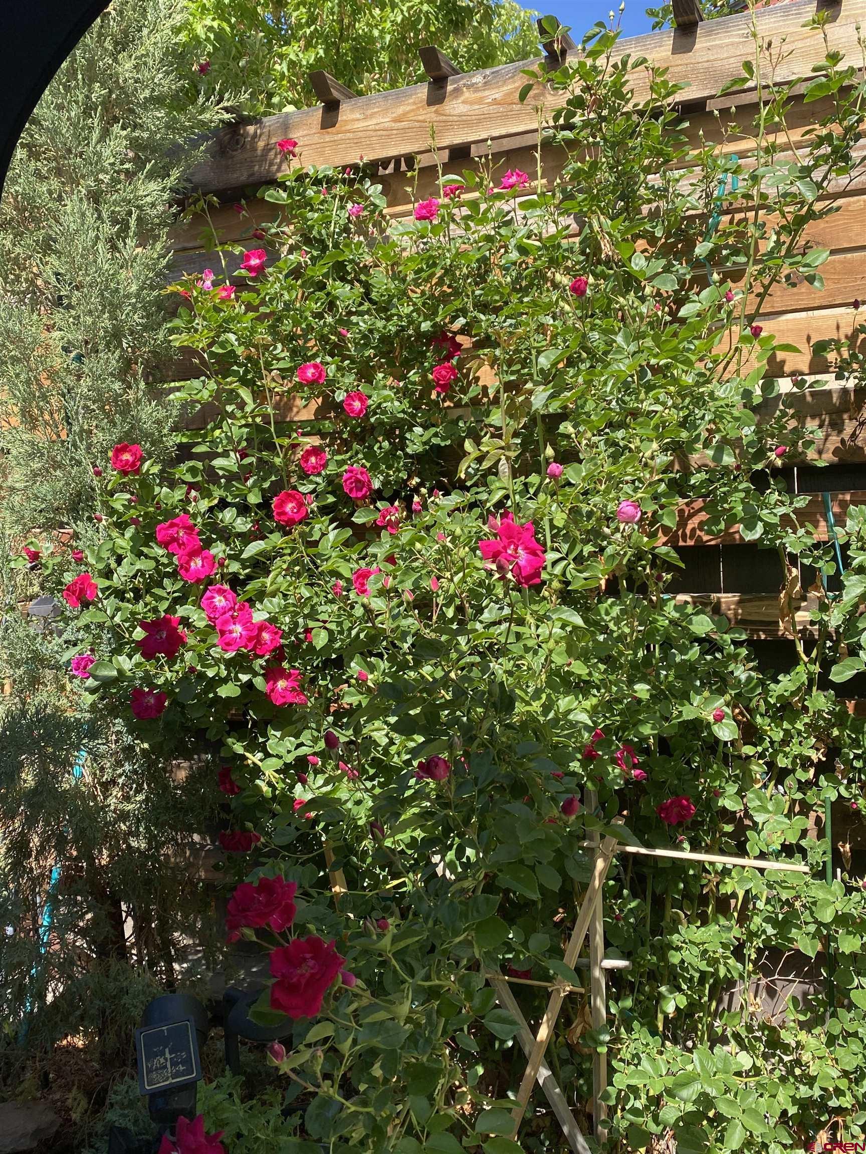 1702 East MacArthur Avenue Cortez, CO 81321 - Photo 40 of 42