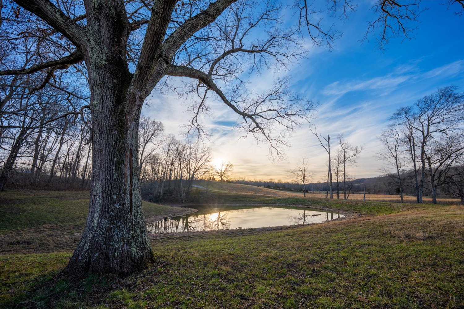 185 Thompson Road Dickson, TN 37055 - Photo 44 of 45 Gallery Image 44