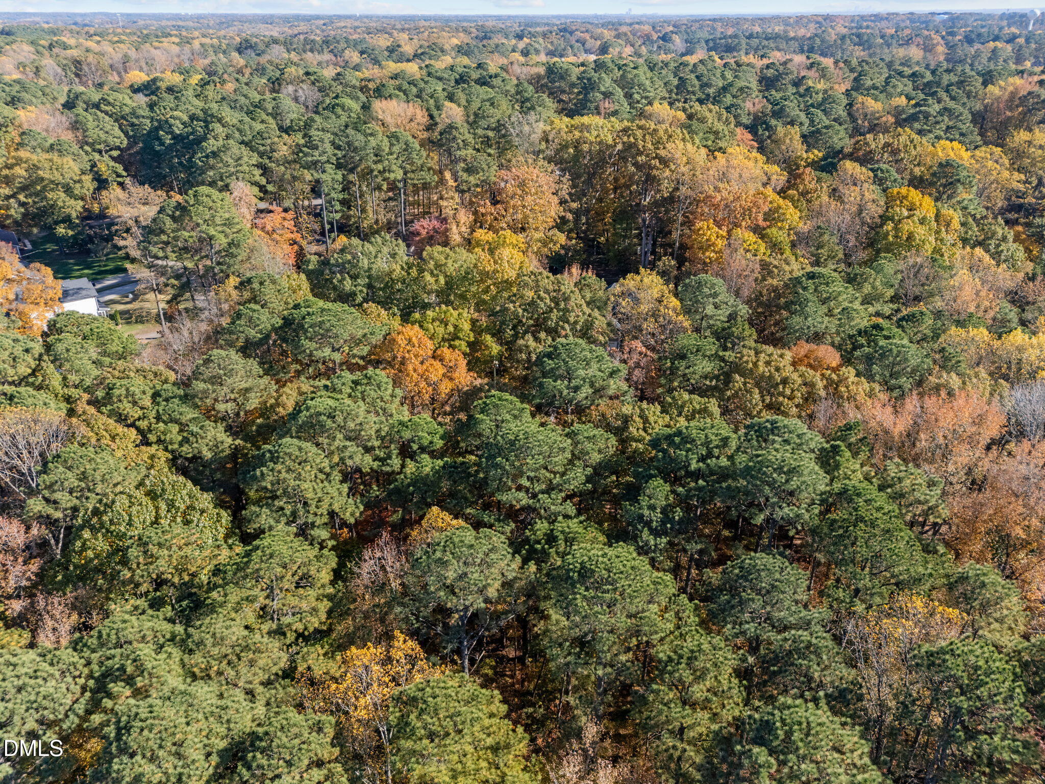 11125 Lakeshore Drive Raleigh, NC 27613 - Photo 5 of 9 an aerial view of forest
