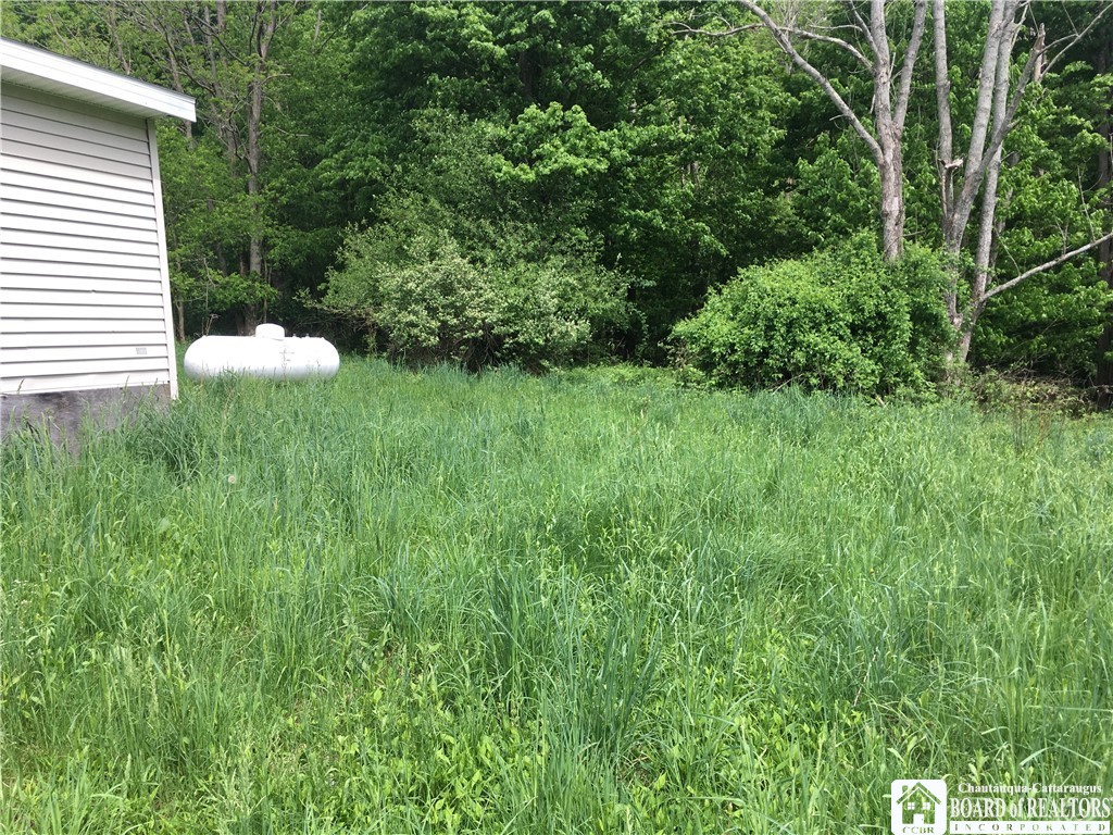 3203 Ames Road Charlotte, NY 14718 - Photo 11 of 15