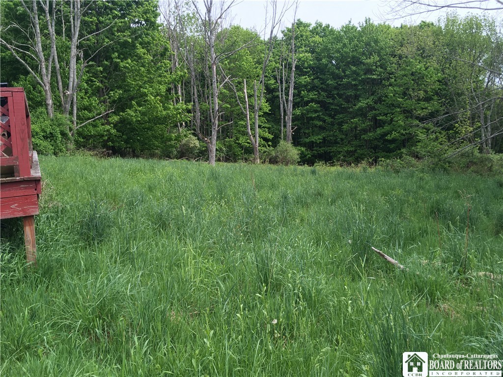 3203 Ames Road Charlotte, NY 14718 - Photo 10 of 15